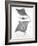 Grey-Scale Stingrays III-Studio W-Framed Art Print