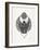 Grey Scarab-Cat Coquillette-Framed Art Print