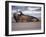 Grey Seal Lying on Beach, UK-Pete Cairns-Framed Photographic Print