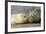 Grey Seal Mother and Newborn Pup Taking Stock-null-Framed Photographic Print