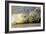 Grey Seal Mother and Newborn Pup Taking Stock-null-Framed Photographic Print