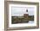 Grey seals (Halichoerus grypus) near Longstone lighthouse, Longstone Rock, Farne Islands, Northumbe-Ann and Steve Toon-Framed Photographic Print