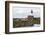 Grey seals (Halichoerus grypus) near Longstone lighthouse, Longstone Rock, Farne Islands, Northumbe-Ann and Steve Toon-Framed Photographic Print