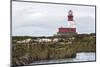 Grey seals (Halichoerus grypus) near Longstone lighthouse, Longstone Rock, Farne Islands, Northumbe-Ann and Steve Toon-Mounted Photographic Print