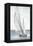 Grey Seas I-Ethan Harper-Framed Stretched Canvas