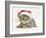 Grey Spice Kitten Wearing a Father Christmas Hat-Jane Burton-Framed Photographic Print