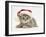 Grey Spice Kitten Wearing a Father Christmas Hat-Jane Burton-Framed Photographic Print