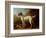Grey Spotted Hound, 1738-John Wootton-Framed Giclee Print