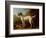 Grey Spotted Hound, 1738-John Wootton-Framed Giclee Print