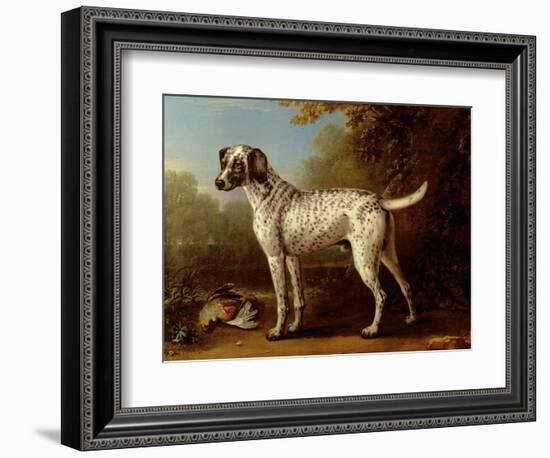 Grey Spotted Hound, 1738-John Wootton-Framed Giclee Print