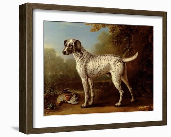 Grey Spotted Hound, 1738-John Wootton-Framed Giclee Print