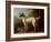 Grey Spotted Hound, 1738-John Wootton-Framed Giclee Print