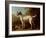 Grey Spotted Hound, 1738-John Wootton-Framed Giclee Print