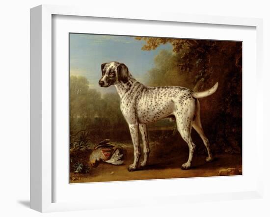 Grey Spotted Hound, 1738-John Wootton-Framed Giclee Print