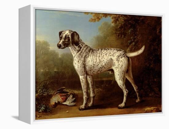 Grey Spotted Hound, 1738-John Wootton-Framed Premier Image Canvas