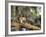 Grey Squirrel Feeding on Oak Branch, Florida, Usa-Maresa Pryor-Framed Photographic Print
