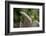 Grey squirrel leaping onto a gravestones, UK-John Waters-Framed Photographic Print