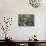 Grey Squirrel on Fencepost-Adam Jones-Photographic Print displayed on a wall