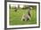 Grey Squirrel (Sciurus Carolinensis) on Grass in Parkland, Regent's Park, London, UK, April 2011-Terry Whittaker-Framed Photographic Print