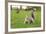 Grey Squirrel (Sciurus Carolinensis) on Grass in Parkland, Regent's Park, London, UK, April 2011-Terry Whittaker-Framed Photographic Print