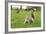 Grey Squirrel (Sciurus Carolinensis) on Grass in Parkland, Regent's Park, London, UK, April 2011-Terry Whittaker-Framed Photographic Print