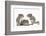 Grey Squirrels (Sciurus Carolinensis) Three Young Hand-Reared Portrait-Mark Taylor-Framed Photographic Print