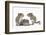 Grey Squirrels (Sciurus Carolinensis) Three Young Hand-Reared Portrait-Mark Taylor-Framed Photographic Print