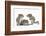 Grey Squirrels (Sciurus Carolinensis) Three Young Hand-Reared Portrait-Mark Taylor-Framed Photographic Print