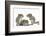 Grey Squirrels (Sciurus Carolinensis) Three Young Hand-Reared Portrait-Mark Taylor-Framed Photographic Print