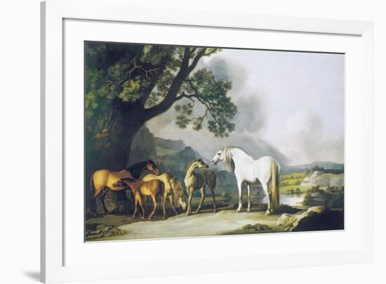 Grey Stallion with Mares and Foals-George Stubbs-Framed Premium Giclee Print