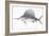 Grey Sword Fish-Jace Grey-Framed Art Print