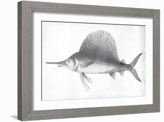 Grey Sword Fish-Jace Grey-Framed Art Print