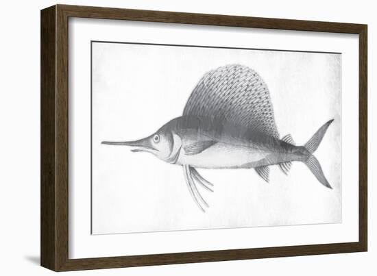 Grey Sword Fish-Jace Grey-Framed Art Print