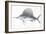 Grey Sword Fish-Jace Grey-Framed Art Print