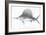 Grey Sword Fish-Jace Grey-Framed Art Print