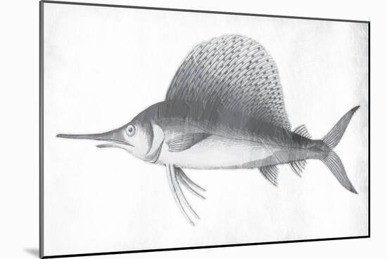 Grey Sword Fish-Jace Grey-Mounted Art Print