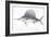 Grey Sword Fish-Jace Grey-Framed Art Print