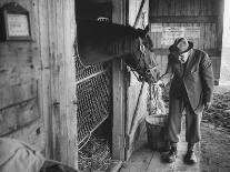 Trainer Jim Fitzsimons at Aqueduct Track Stables after William Woodward's Death in Stable-Grey Villet-Photographic Print