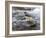 Grey Wagtail Male on Rock in Fast Flowing Upland Stream, Upper Teesdale, Co Durham, England, UK-Andy Sands-Framed Photographic Print