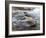 Grey Wagtail Male on Rock in Fast Flowing Upland Stream, Upper Teesdale, Co Durham, England, UK-Andy Sands-Framed Photographic Print