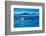 Grey Whales, Whale Watching, Magdalena Bay, Mexico, North America-Laura Grier-Framed Photographic Print