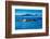 Grey Whales, Whale Watching, Magdalena Bay, Mexico, North America-Laura Grier-Framed Photographic Print