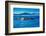 Grey Whales, Whale Watching, Magdalena Bay, Mexico, North America-Laura Grier-Framed Photographic Print