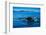 Grey Whales, Whale Watching, Magdalena Bay, Mexico, North America-Laura Grier-Framed Photographic Print