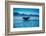 Grey Whales, Whale Watching, Magdalena Bay, Mexico, North America-Laura Grier-Framed Photographic Print