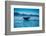 Grey Whales, Whale Watching, Magdalena Bay, Mexico, North America-Laura Grier-Framed Photographic Print