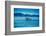 Grey Whales, Whale Watching, Magdalena Bay, Mexico, North America-Laura Grier-Framed Photographic Print