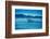 Grey Whales, Whale Watching, Magdalena Bay, Mexico, North America-Laura Grier-Framed Photographic Print