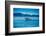 Grey Whales, Whale Watching, Magdalena Bay, Mexico, North America-Laura Grier-Framed Photographic Print