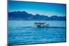 Grey Whales, Whale Watching, Magdalena Bay, Mexico, North America-Laura Grier-Mounted Photographic Print